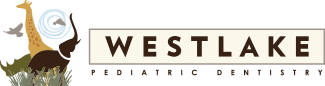 logo (1)